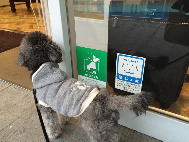 横浜ベイサイドマリーナアウトレットモール 犬連れルールと同伴店舗一覧 つつじろぐ