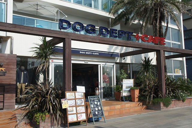 Dog Dept Cafe 湘南江ノ島 屋上ドッグラン初体験 つつじろぐ