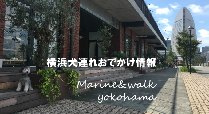 横浜 愛犬同伴で楽しめるカフェ レストラン 駐車場情報 つつじろぐ