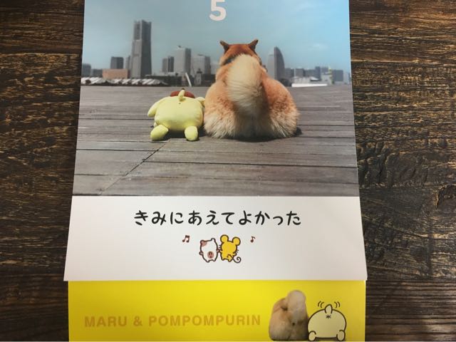 柴犬まる ポムポムプリンのハッピー日めくり で毎日を笑顔に つつじろぐ