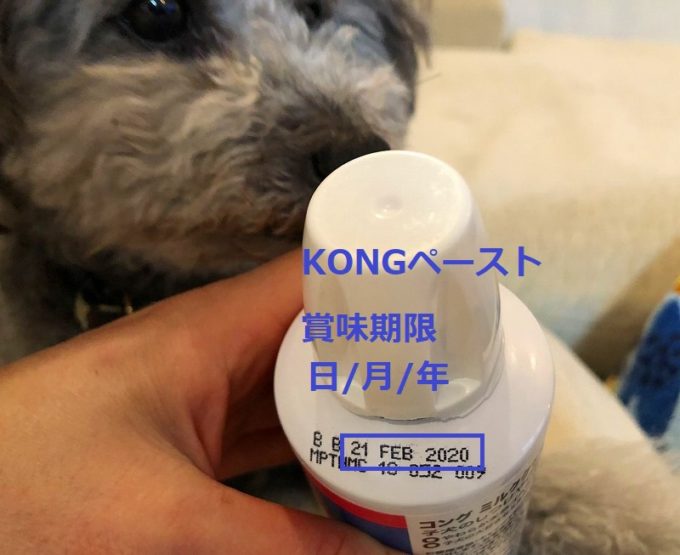 ドッグトレーナーが推奨するアメリカ発犬の知育玩具「KONG（コング）」とは | つつじろぐ