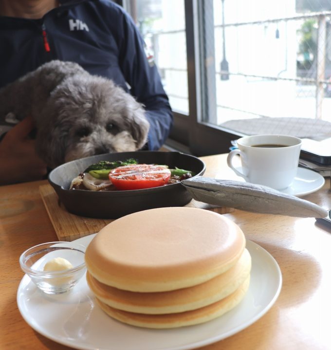 閉店 パンケーキリストランテ 店内で愛犬と過ごせる横浜元町のパンケーキ専門店 つつじろぐ