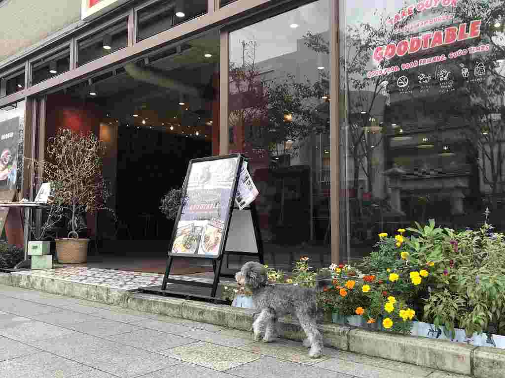 《閉店》【GOOD TABLE 鎌倉】店内ペット可カフェで愛犬同伴ランチ つつじろぐ