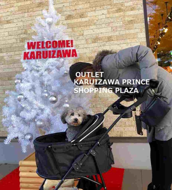 軽井沢プリンスショッピングプラザ アウトレット 犬連れ利用方法 つつじろぐ