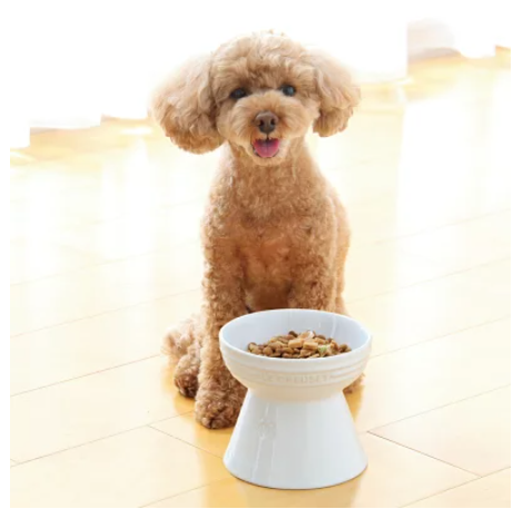 おしゃれで実用的な犬用食器は陶器かステンレスがおすすめ つつじろぐ