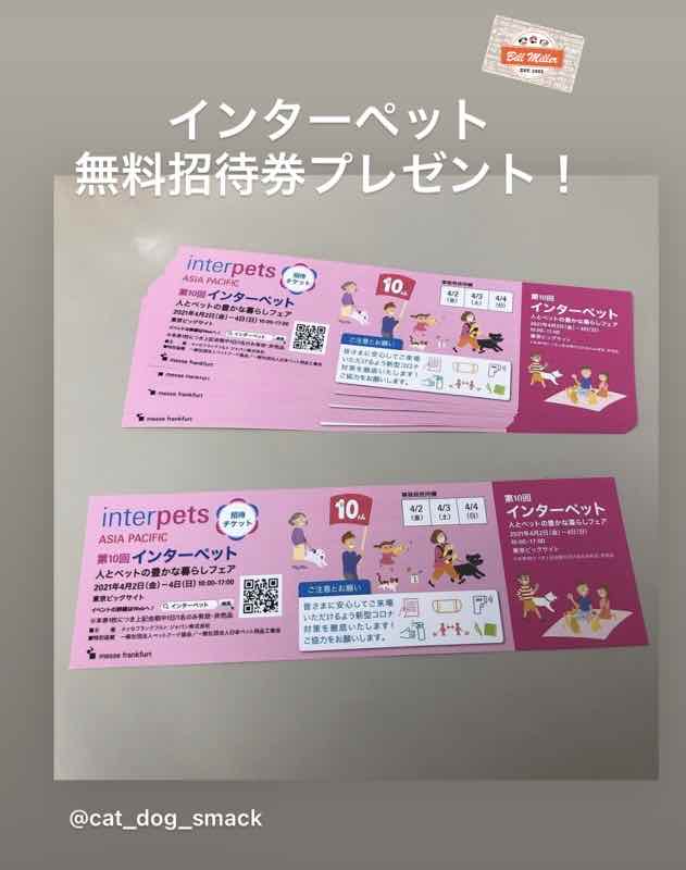 インターペット大阪　チケット
