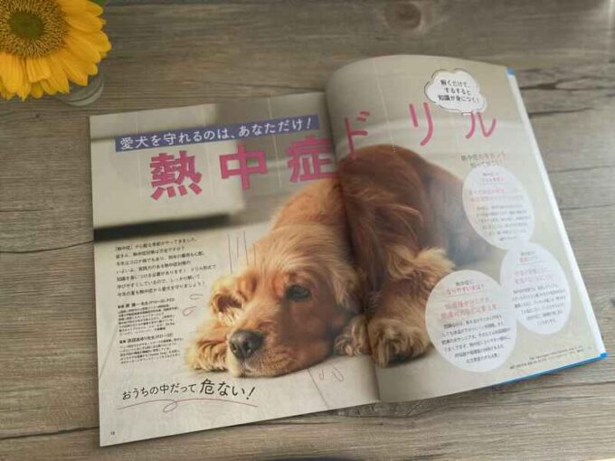 爆買い！ 雑誌2008年9月号 ペット誌 犬の気持ち ほめるしかるしつけのメリット 愛犬の性格診断テスト 骨関節病気